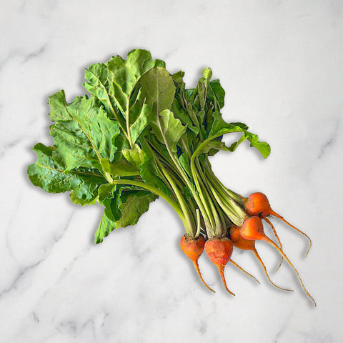 Baby Golden Beetroot, x 3 Bunches European Salad Company Limited GRGR-SPVG-0000714-147