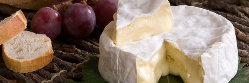 Camembert Cheese