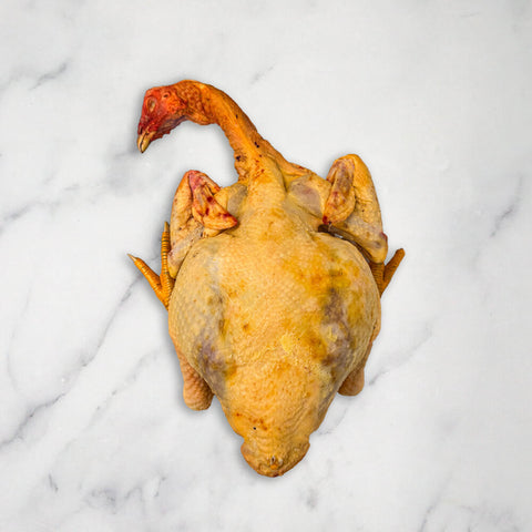 Capon