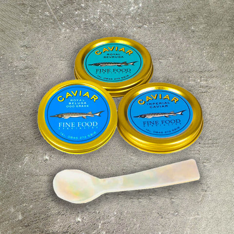 Connoisseur Caviar Taster Set Gourmet House CAVI-GIID-0000970-147