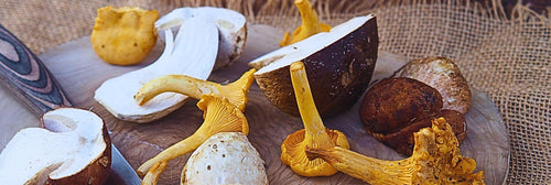 Frozen Mushrooms