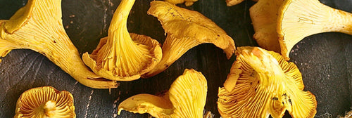 Girolle Mushrooms