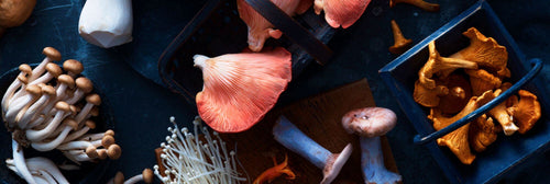 Fresh Mushrooms