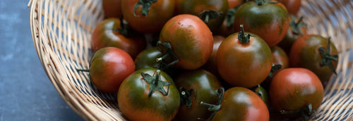 Specialist Tomatoes