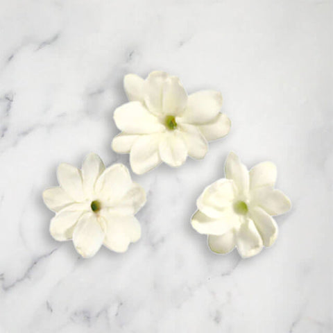 Jasmine Blossom