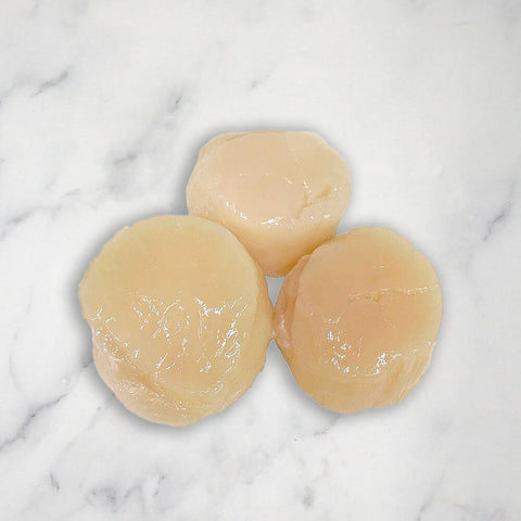 Large Hokkaido Japanese Scallops, Sashimi Grade, Frozen, +/-300g T&S Enterprise UB-KEE2-MZR7