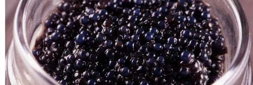 Lumpfish Roe