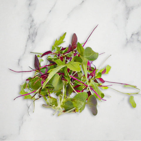 Micro Mix Leaf Salad, 30g Nature's Choice Ltd GRGR-MIHE-0001420-147