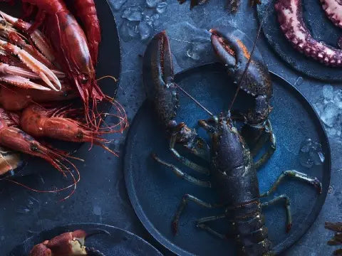 Seafood