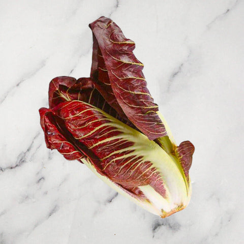 Treviso Radicchio, 500g Nature's Choice Ltd GRGR-SPVG-0001896-147