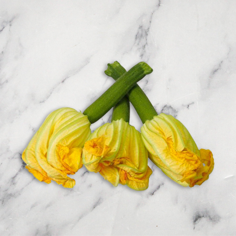 Courgette Flowers, x 10 Nature's Choice Ltd GRGR-SPVG-0000340-147