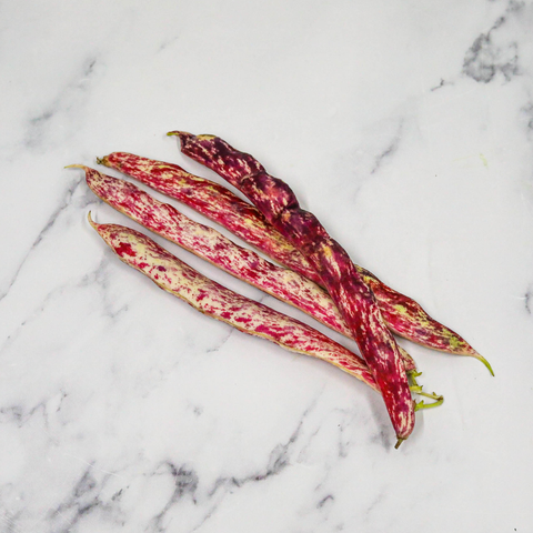 Fresh Borlotti Beans, 1kg Nature's Choice Ltd GRGR-SPVG-0000336-147