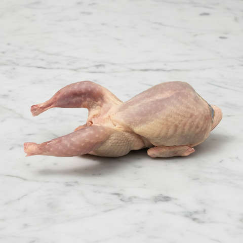 Quails, Oven Ready, Chilled, 4 x +/-200g HG Walter MEPO-SPEPO-0000384-147