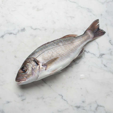 Stonebass, Fresh